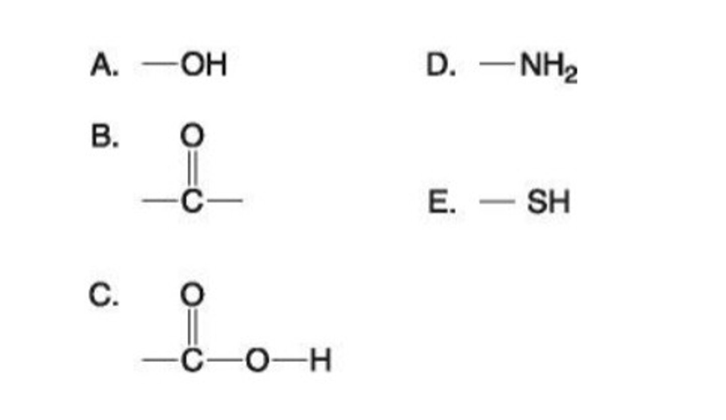 <p>Which functional group shown at right is:</p><p>i) is an acidic functional group that can release H+ into a solution?</p><p>ii) a basic functional group that can accept H+?</p><p>iii) can exist as a ketone or aldehyde configuration?</p><p>iv) a characteristic of alcohols?</p><p>v) helps stabilize proteins by forming covalent cross-links within or between protein molecules?</p>