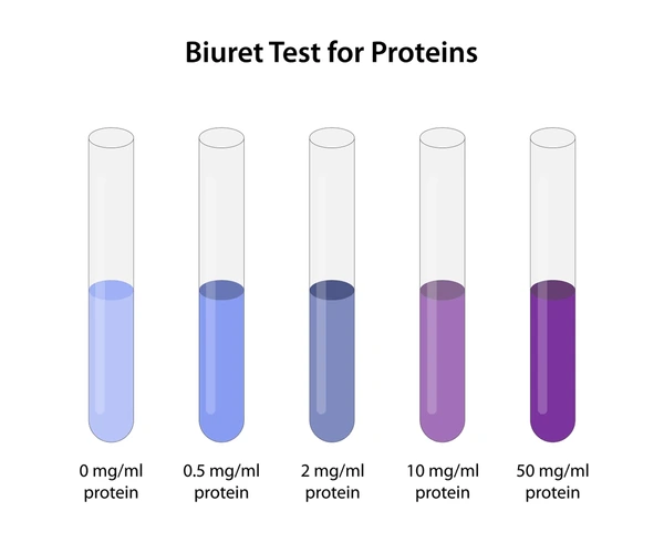 <p>test name, colors</p>
