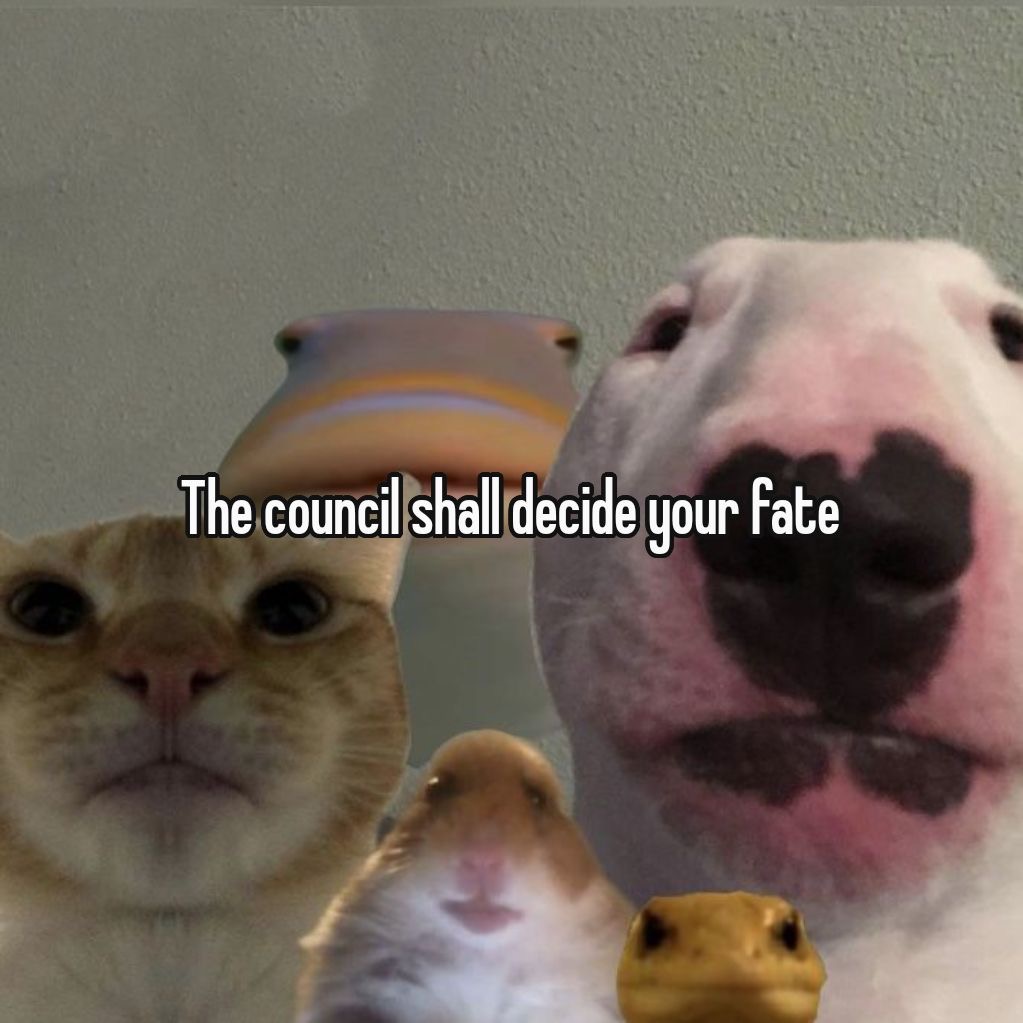 <p>The right to a speedy and public trial, an impartial jury, and legal counsel.</p>