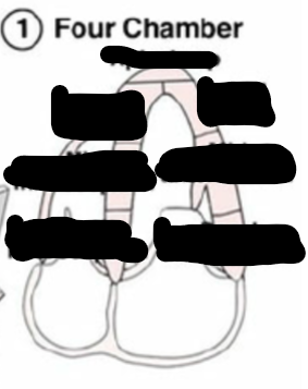 <p>Identify this image. </p>