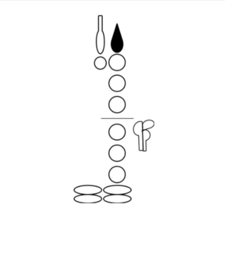 knowt flashcard image