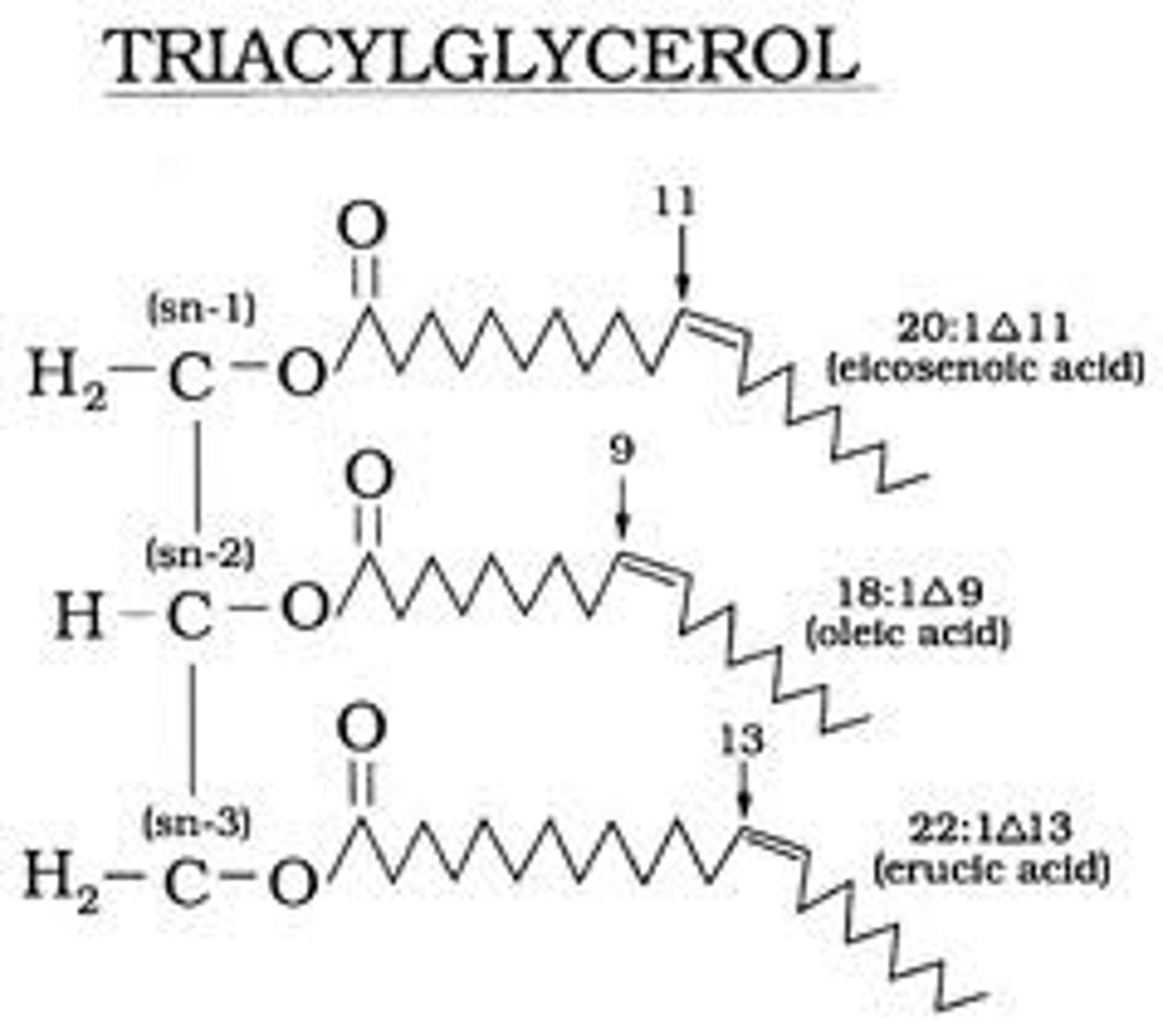 <p>Also known as triglyceride (TG, triacylglycerol, TAG, or triacylglyceride)an ester derived from glycerol and three fatty acids.It is the main constituent of vegetable oil and animal fats.</p>