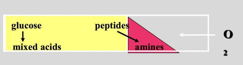<p>this test shows </p>