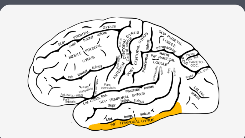 <p>what is the highlighted area?…</p>