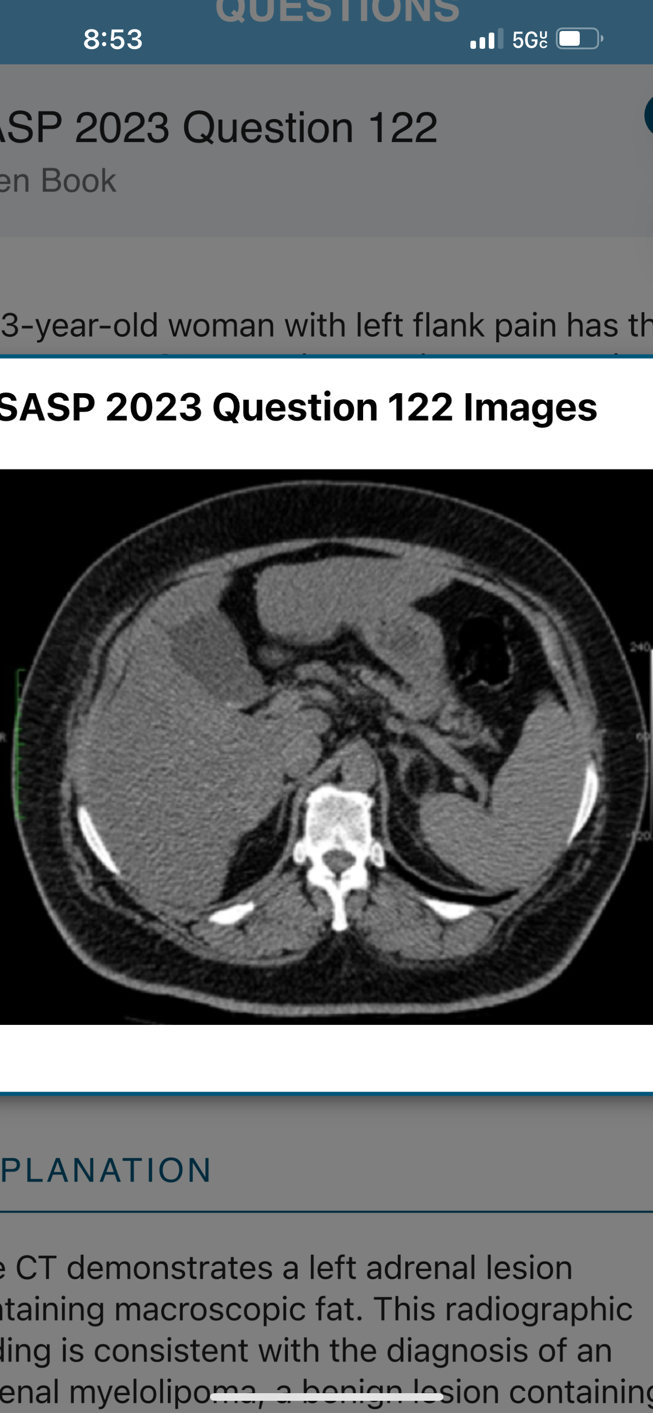term image