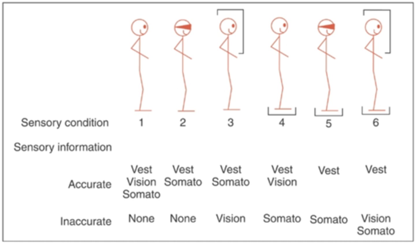 <p>Way to assess how 3 sensory systems are working for balance</p><p>- Eyes open/closed on firm vs foam pad surface with/without surround</p><p>- Pt uses shoes</p>