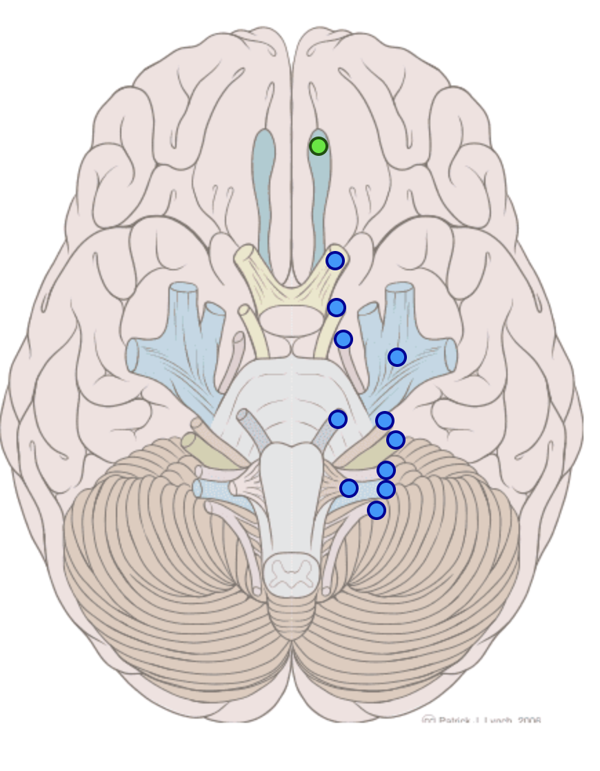 knowt flashcard image