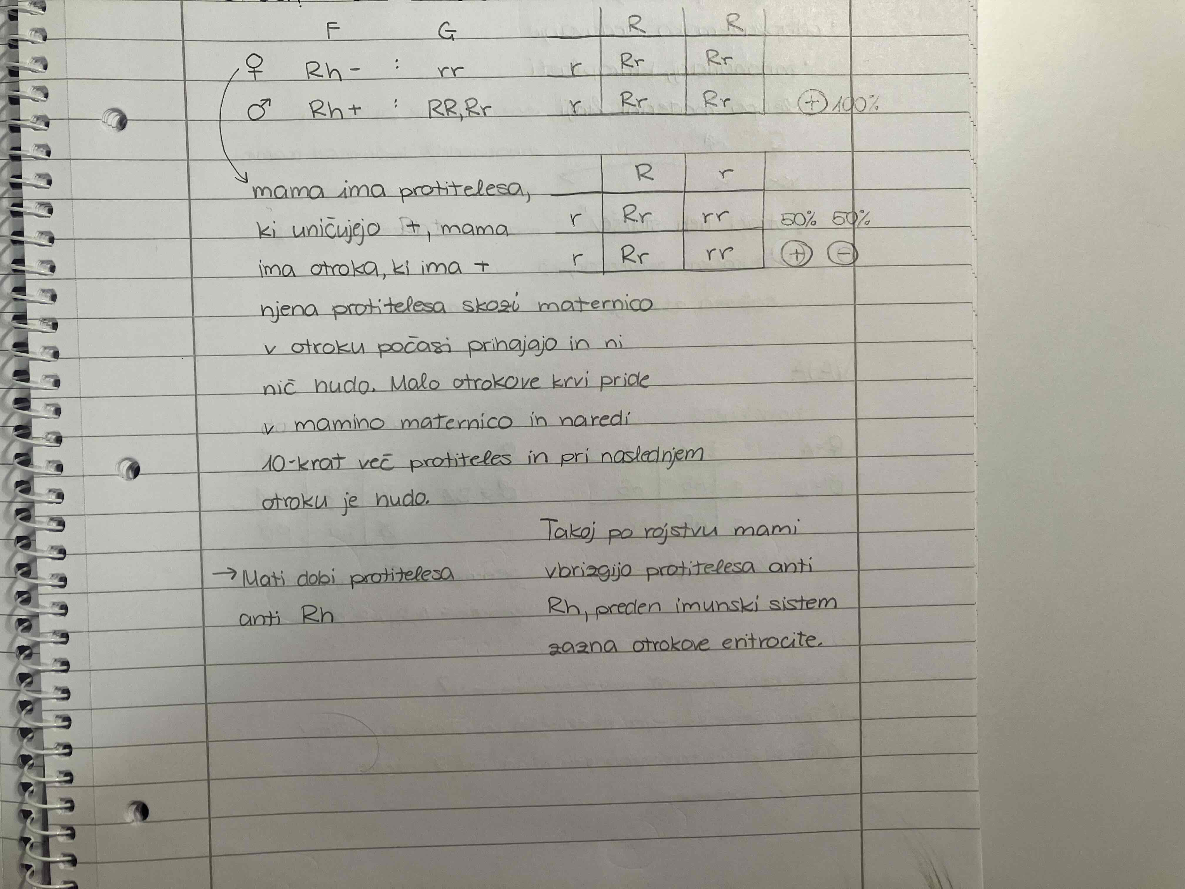 <ul><li><p>RH bolezen novorojenckov pomeni, da se rodi strahotno slabokrven otrok. Otrok lahko v maternici umre. Lahko povzroci, da mama ne more imeti vec otrok</p></li><li><p>do problemov pride, ce je mama Rh-, oce pa Rh+</p></li><li><p>otroci? → dve moznosti</p></li></ul>