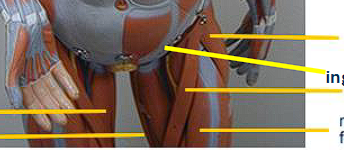 <p>function not required! </p>