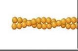 2 intertwined strands of actin