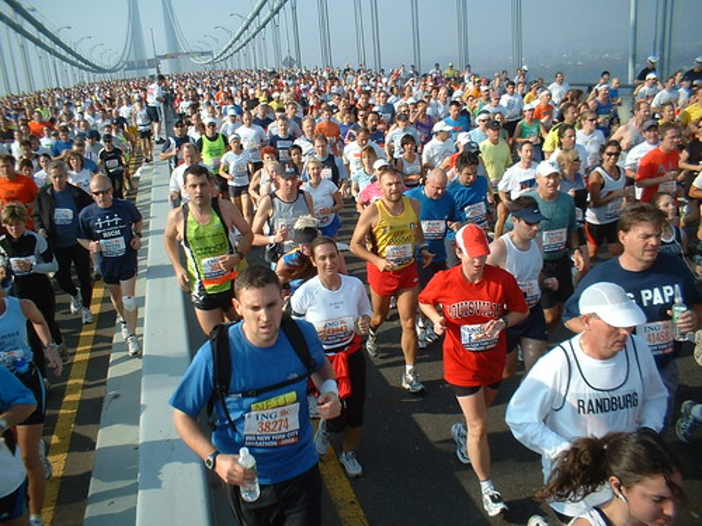 <p>slow twitch- they have a lot of endurance--more myoglobin</p>