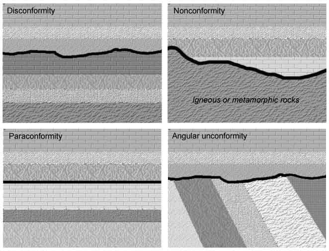 <p><strong>Angular Unconformity</strong></p><ul><li><p>Older rocks are tilted/folded and eroded.</p></li><li><p>New, flat sedimentary layers are deposited on top.</p></li><li><p>Shows that tectonic activity (uplift &amp; folding) happened before the younger rocks were laid down.</p></li></ul><p><strong>Disconformity</strong></p><ul><li><p>Both the rocks above and below are <strong>parallel sedimentary layers</strong>.</p></li><li><p>But the surface between them represents a long period of erosion or non-deposition.</p></li><li><p>Harder to see because the layers look conformable.</p></li></ul><p><strong>Nonconformity</strong></p><ul><li><p>Sedimentary rocks deposited directly on top of <strong>eroded igneous or metamorphic rocks</strong>.</p></li><li><p>Shows a big contrast in rock type, meaning a long gap in geological history.</p></li></ul><p><strong>Paraconformity</strong></p><ul><li><p>Similar to a disconformity, but with <strong>no visible erosion surface</strong>.</p></li><li><p>Recognized only by dating or fossil evidence (time gap is hidden).</p></li></ul><p></p>