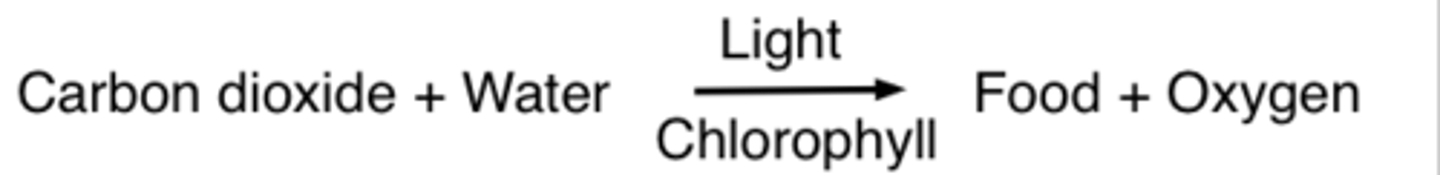 <p>carbon dioxide + water --&gt; glucose and oxygen</p>