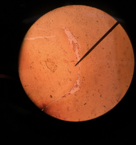 What is this?