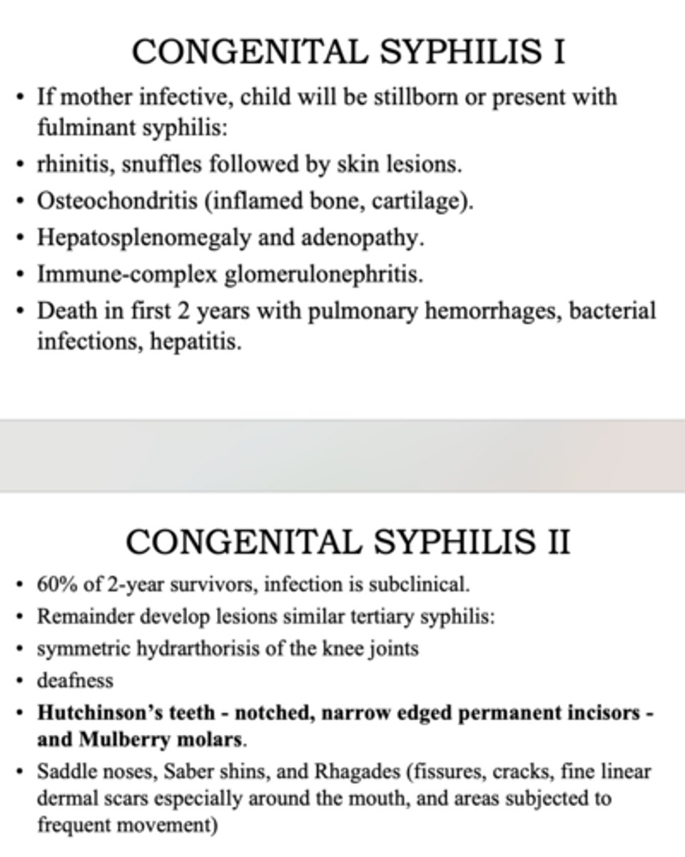 <p>congenital syphilis</p>