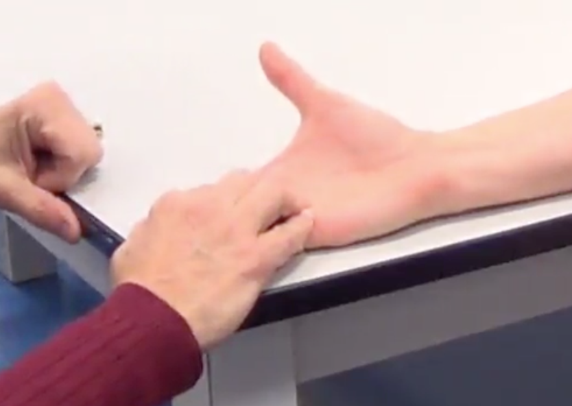 Bringing the thumb past the index finger, using their abductor pollicis longus