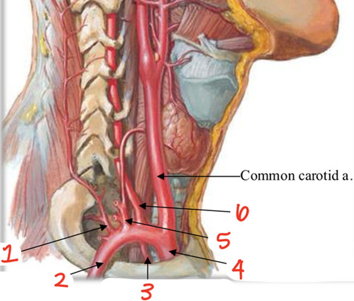 <p>(3) CHANGE PICTURE</p>