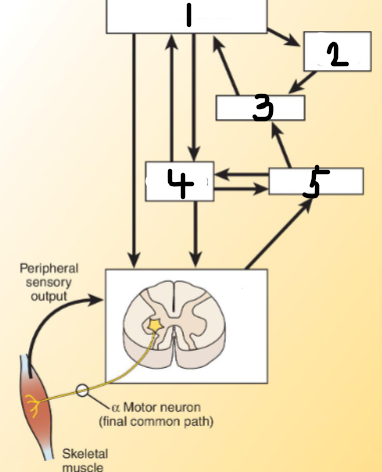 <p><span>Motor Control System</span></p>