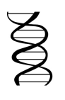 <p>DNA</p>