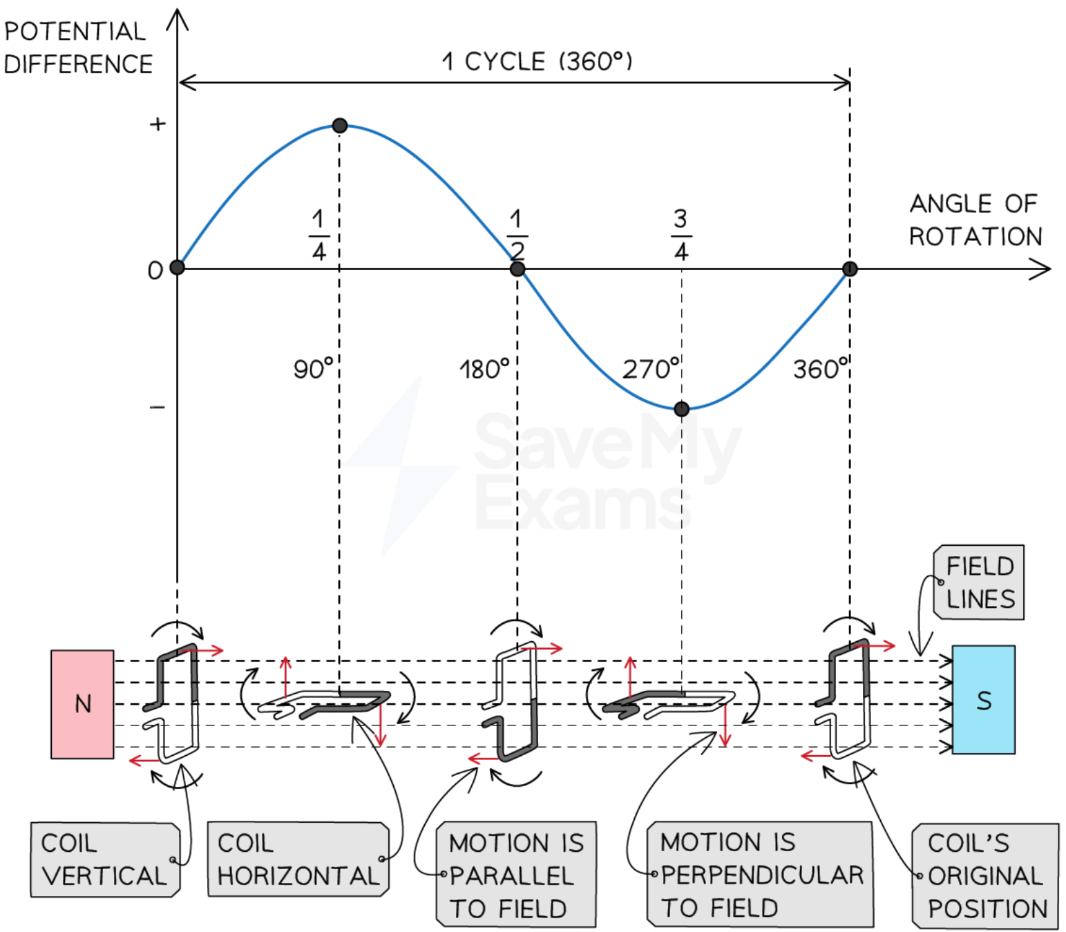 <ul><li><p>the shape of the graph is a sine or cosine curve (depending on coil starting position)</p></li><li><p>when the coil is vertical at 0<span>°, its motion is parallel to the magnetic field, causing the induced p.d. size to be 0</span></p></li><li><p><span>when the coil has rotated by 90°, its position is horizontal, its motion is perpendicular to the magnetic field, causing the induced p.d. size to be its maximum value</span></p></li><li><p><span>when the coil has rotated by 180°, its position is vertical again, </span>its motion is parallel to the magnetic field, causing the induced p.d. size to be 0</p></li><li><p>when the coil has rotated by 270°, its position is horizontal again, its motion is perpendicular to the magnetic field, causing the induced p.d. size to be its maximum value and opposite in direction to the value at 90°</p></li><li><p>when the coil has rotated by 360°, its position is at its starting point, its motion is parallel to the magnetic field, causing the induced p.d. size to be 0</p></li></ul><p></p>