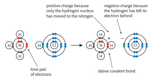 <p>when ammonia reacts with HCL, a hydrogen ion from the acid transfers to the ammonia molecule. a <strong>lone pair</strong> of electrons on the nitrogen atom forms a dative bond with the hydrogen ion.</p>