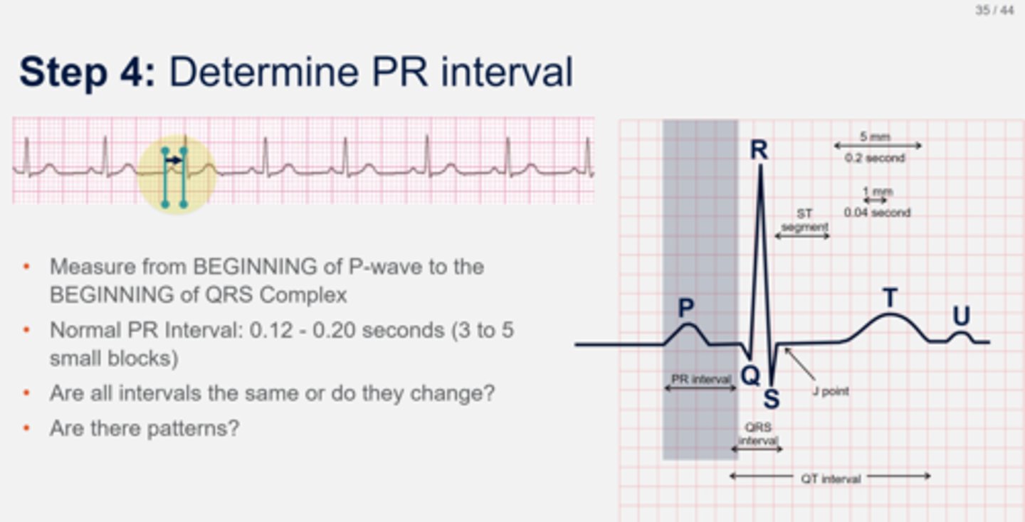<p>Measurement from beginning of P wave to beginning of QRS complex</p><p>Normally 0.12-0.20 seconds (3-5 small boxes)</p>