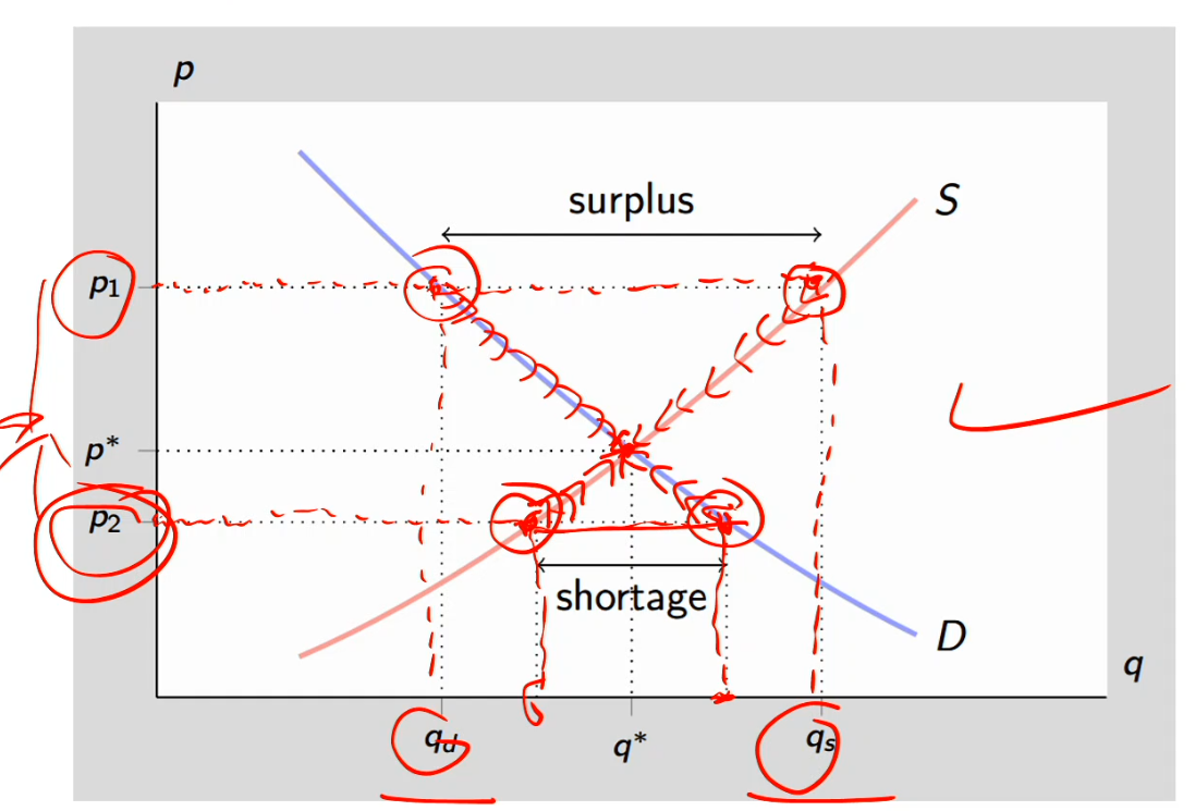 <ul><li><p>The law of supply and demand states that price tends to move in the direction of the equilibrium price (where supply equals demand)</p></li><li><p>The pendulum analogy</p></li><li><p>Just like gravity pulls a pendulum towards its rest point, market forces (buyers and sellers) push price toward its rest point (equilibrium price)</p><ul><li><p>When we’re at disequilibrium (pendulum swinging), for market forces, the behavior of those buyers and sellers is going to push us towards the equilibrium price (resting point) through gravity as it eventually reaches the resting point</p></li></ul></li></ul><p></p><p><strong>Graph:</strong></p><ul><li><p>Equilibrium (resting point) at q* and p* where demand = supply</p></li><li><p>At p1, the supply of qs is &gt; the demand of qd, which is a disequilibrium at a surplus (excess supply)</p><ul><li><p>There’s a downward pressure on price</p></li><li><p>In response to downward pressure on price, consumers will react with an increase in quantity demanded and the producers will respond to a decrease in quantity supply</p></li><li><p>We’re going to move down along the demand curve, no shifting just move along</p></li><li><p>We’re also going to move down along the supply curve</p></li><li><p>Now the pendulum reaches the resting point at p*, the equilibrium </p></li></ul></li><li><p>At p2, the demand of qd is &gt; the supply of qs, which is a disequilibrium at a shortage (excess demand)</p><ul><li><p>There’s an upward pressure on price</p></li><li><p>In response, producer will move up the supply curve as producers have an incentive to produce more output</p></li><li><p>Move up along the demand curve </p></li><li><p>Now back at equilibrium</p></li></ul></li></ul><p></p>
