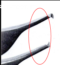 <p>Identify</p>