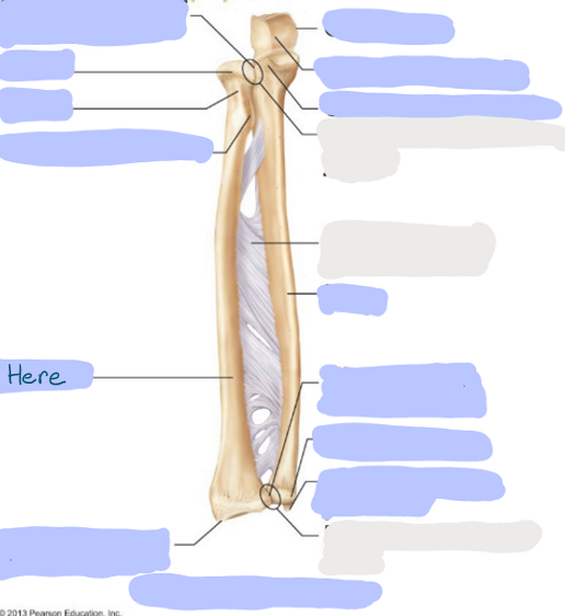 <p>What is here?</p>