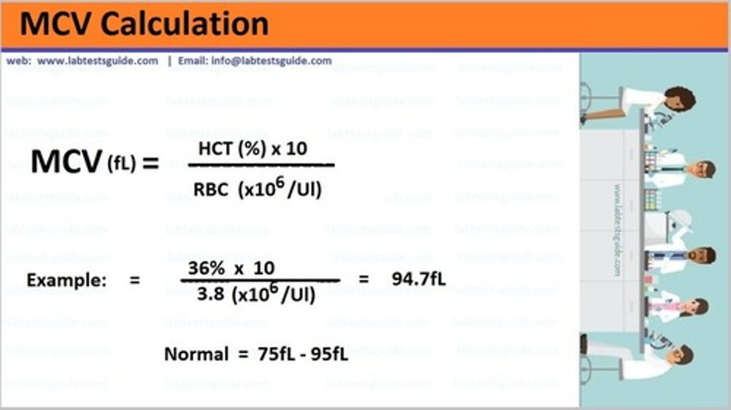 <p>A: 94.7fL</p><p>reference: hematology</p>