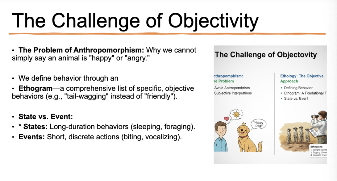 <p>ethograms allow for standardized definitions across several observers and over time </p><p>-Defining state vs. event allows temporal or spatial aspects of a unit of behavior to be noted. </p>