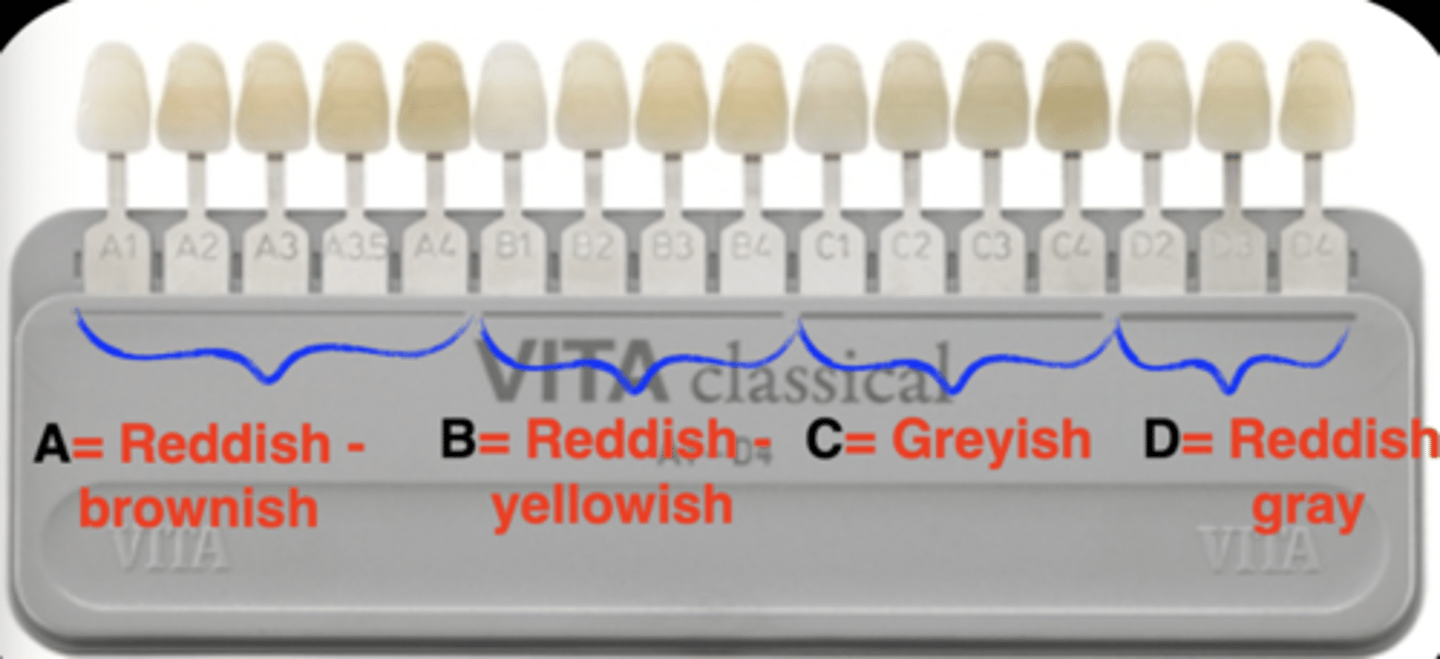 <p>A-D represent hue</p><p>A = red</p><p>B = yellow</p><p>C = grey</p><p>D = red-grey</p>