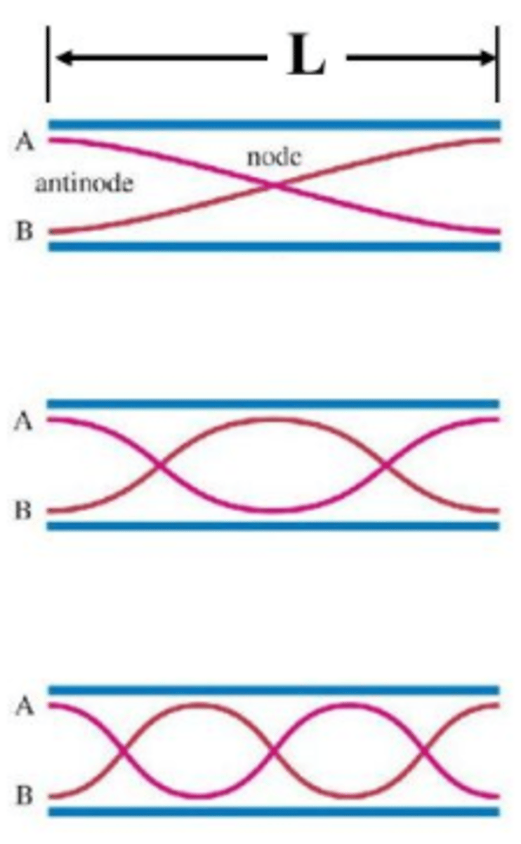 <p>To draw the second harmonic based on the first, simply draw the wave with the next largest wavelength that can possibly fit in the container. You can do this by adding another node within the container. Keep in mind that both ends must always be anti-nodes as they are open.</p>