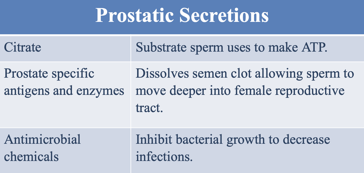 <ul><li><p>Citrate</p></li><li><p><span>Prostate specific antigens and enzymes</span></p></li><li><p><span>Antimicrobial chemicals</span></p></li></ul><p></p>
