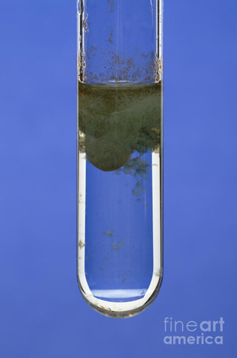 <p>Add NaOH(aq), green precipitate observed</p>