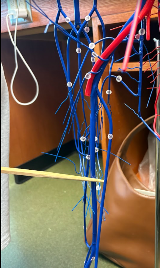 <p>What is this?</p>