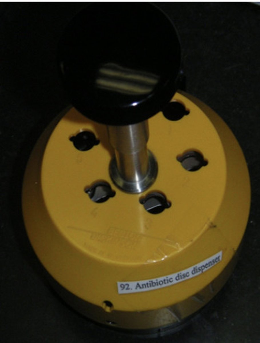 <p>Positions antibiotic discs on the agar surface.</p>