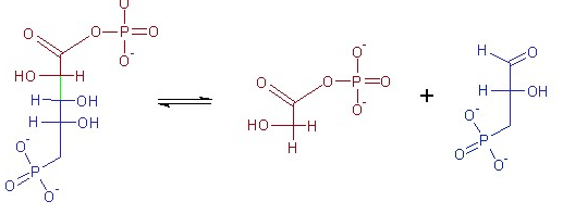 <p>what reaction does this figure display</p>