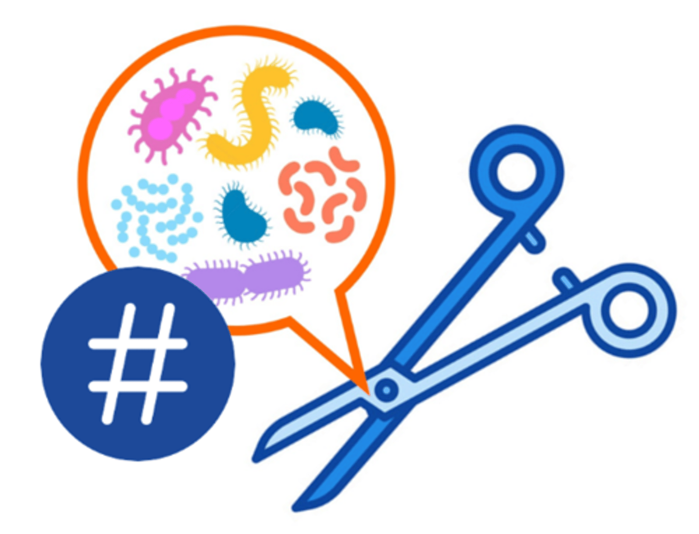 <p>the number of microorganisms on a contaminated object; also called bioload or microbial load</p>