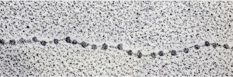 Qu’est ce que cette structure ? 