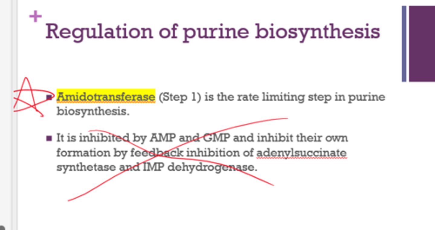 <p>Amidotransferase (step 1)</p>