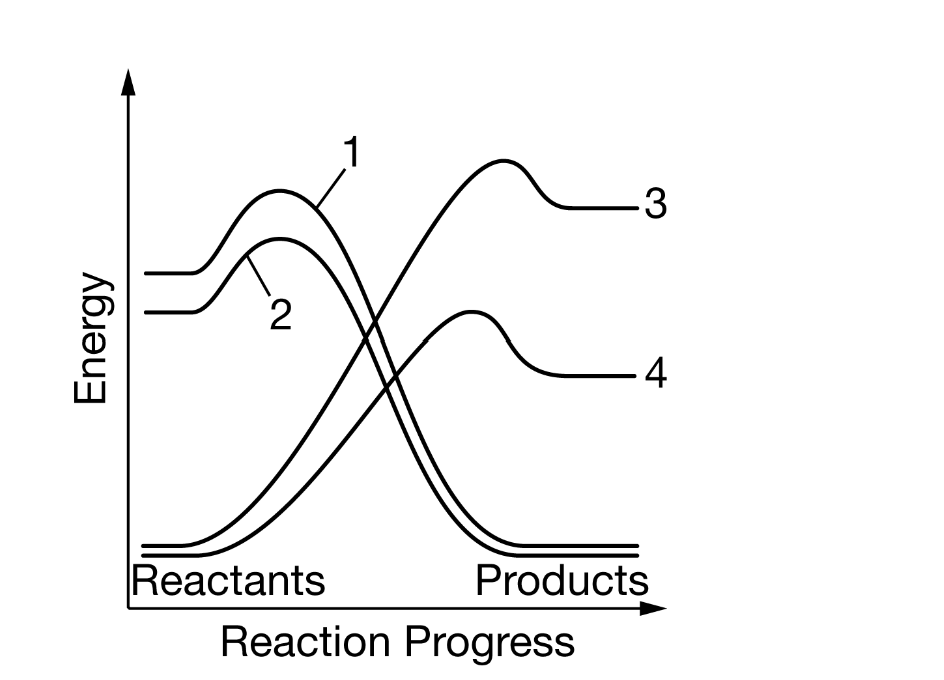 <p>Figure 1. Change in energy over the course of four chemical reactions</p><p>Based on the data in Figure 1, which of the following most likely represents the change in energy that occurs when ATPATP hydrolysis is coupled with the phosphorylation of a substrate?</p>