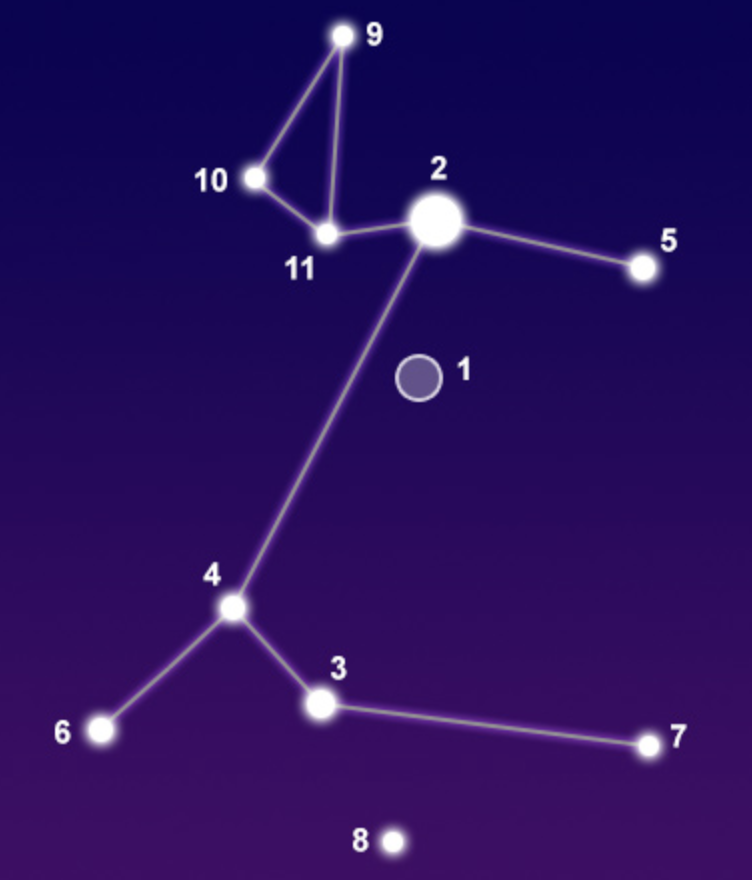 term image
