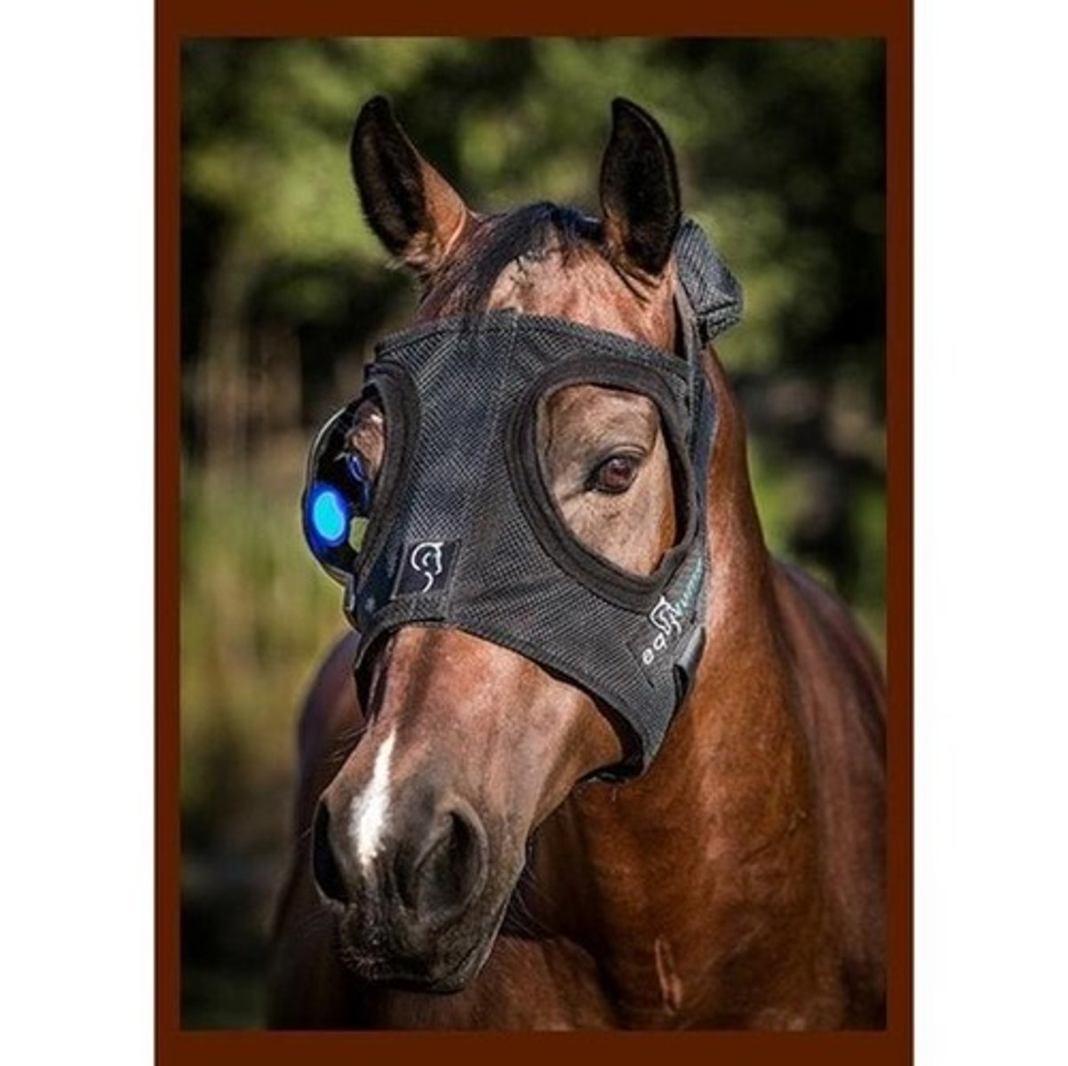 <p>What hormone is this mask meant to suppress?</p>