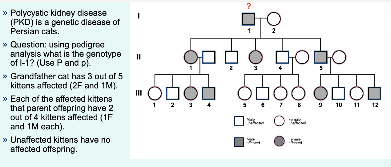 <p>read the slide as a quesiton </p>