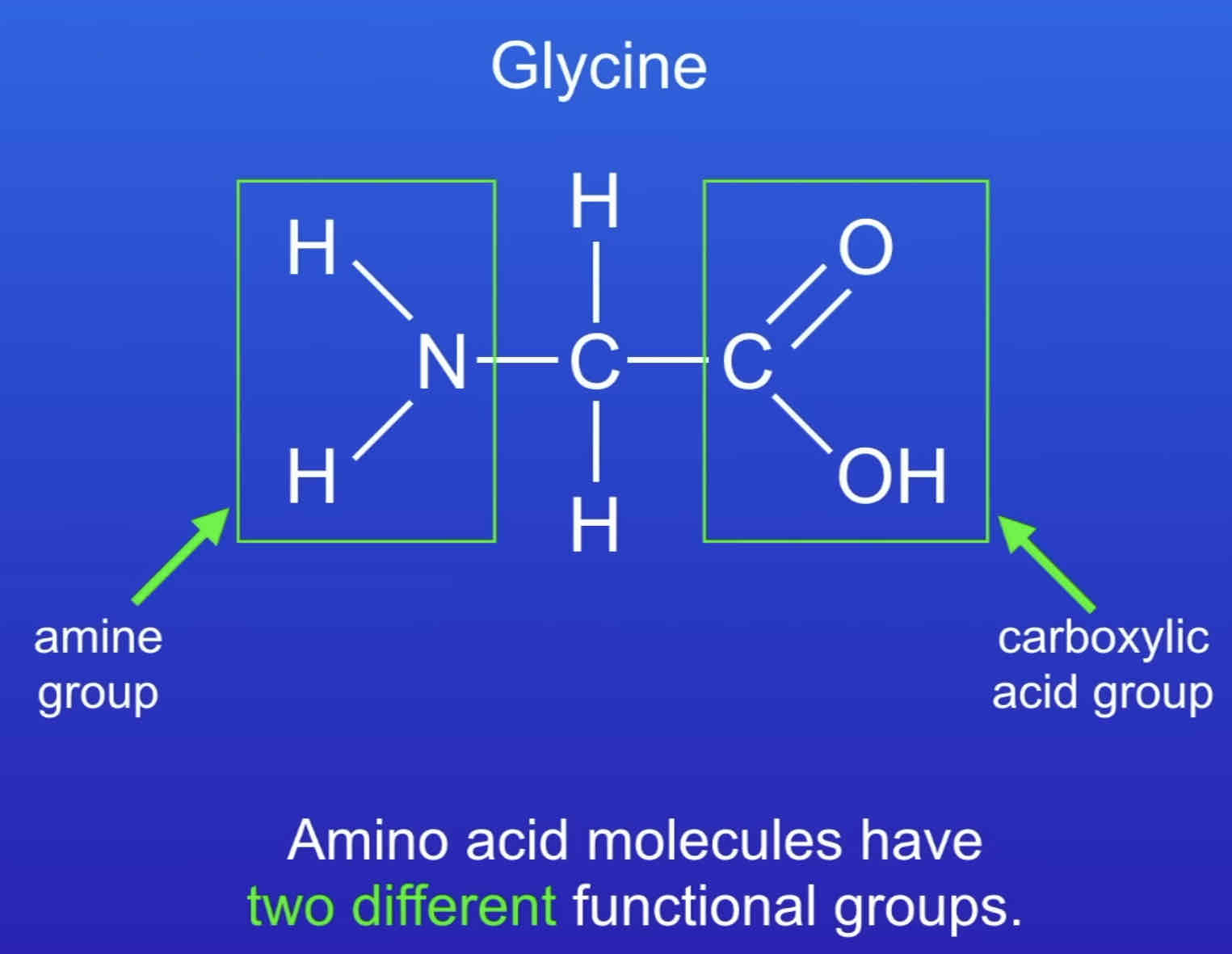 <ul><li><p>have two functional groups - amine group -<span style="color: rgb(232, 232, 232)">NH</span><sub>2 </sub><span style="color: rgb(232, 232, 232)">and carboxyl group -COOH</span></p></li><li><p><span style="color: rgb(232, 232, 232)">e.g. glycine</span></p></li><li><p><span style="color: rgb(232, 232, 232)">can react together in condensation polymerisation to form a polypeptide, a type of polyamine</span></p></li></ul>