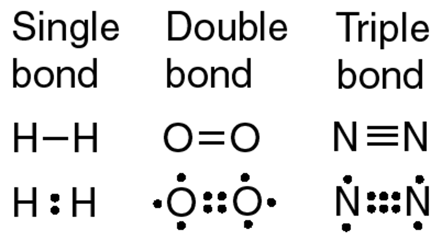 <p>single (attraction between 1 shared pair and nuclei) double (attraction is between 2 chaired pairs and nuclei), and triple covalent bonds (attraction is between 3 shared pair and nuclei)</p>