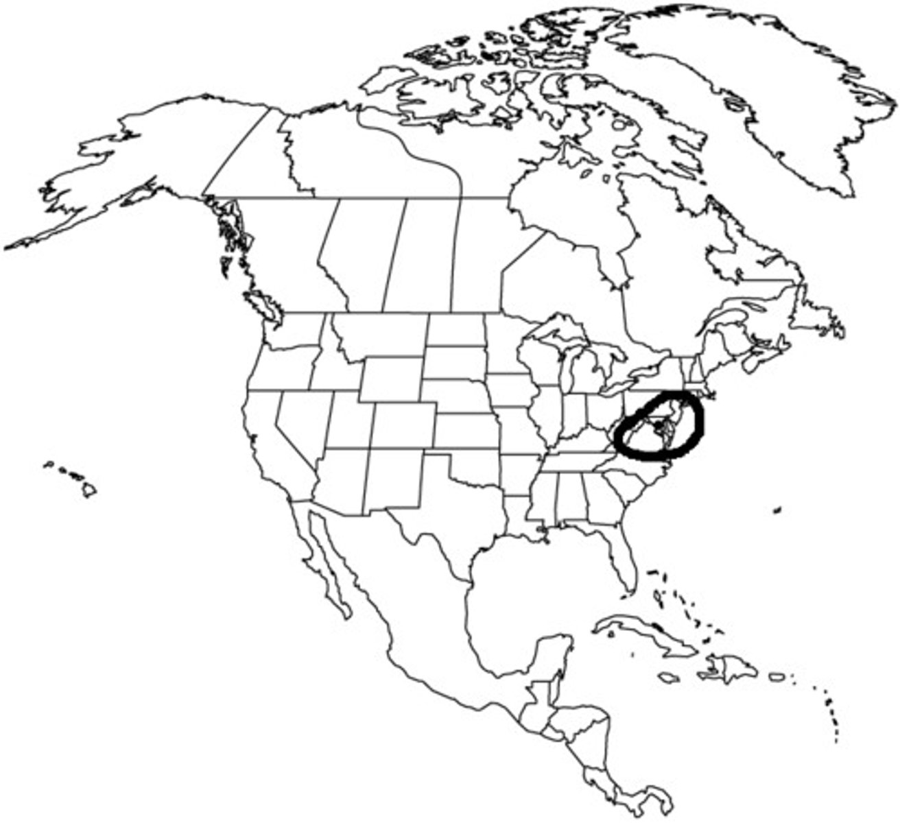 <p>in D.C.</p>