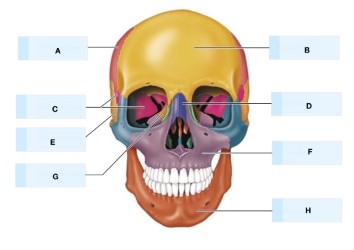 <p>what is G?</p>