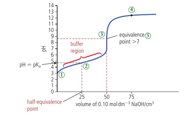 <p>initial pH is relatively high </p><p>pH stays relatively constant till equivalence (buffer region)</p><p>jump in pH at equivalence from about pH 7-11</p><p>after equivalence, it flattens out at a high pH</p><p>pH at equivalence > 7</p>